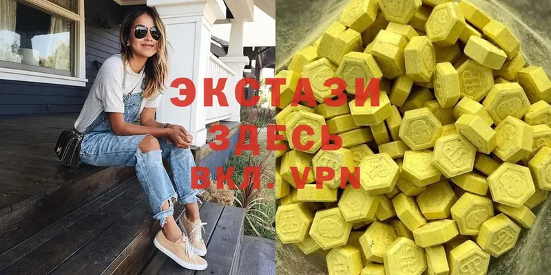 Ecstasy Philipp Plein  мега сайт  Новоалександровск 