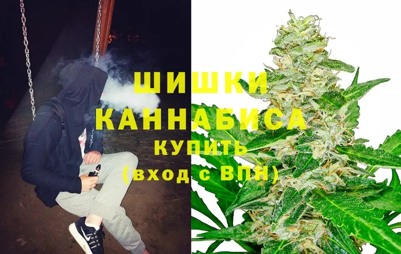 где найти   Новоалександровск  Бошки марихуана Bruce Banner 